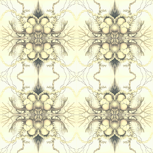 Sin título 2 - Image 7