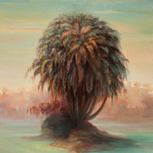 Palmera